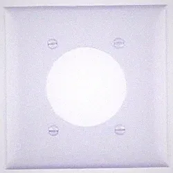 Pass & Seymour TP703W 2G Wall Plate Power Outlet Receptacle White 100-Pack